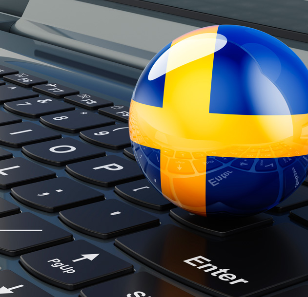 Pozycjonowanie Szwecja